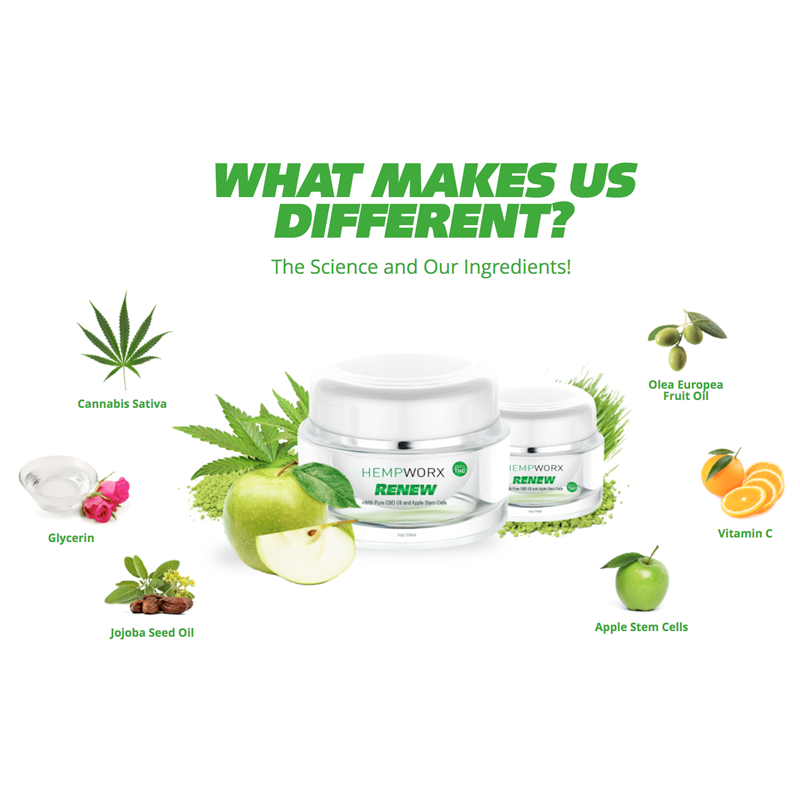 RENEW CREAM APPLE STEM CELLS 30ML